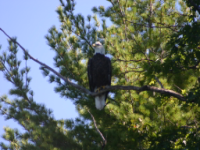 img_4980.jpg